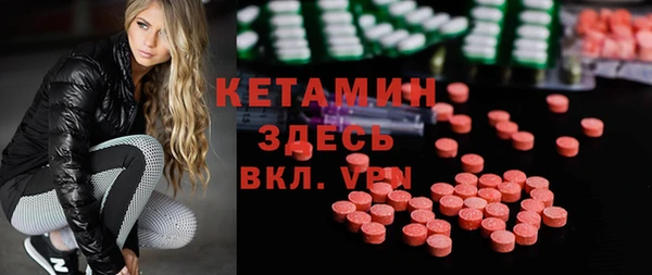 хмурый Аркадак