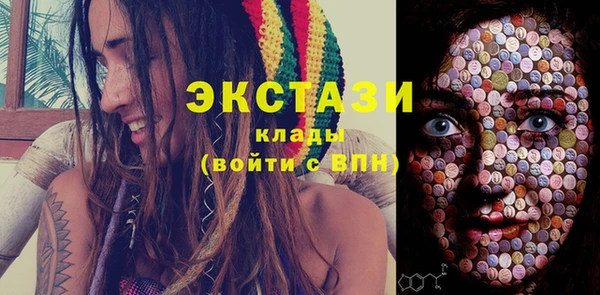 хмурый Аркадак
