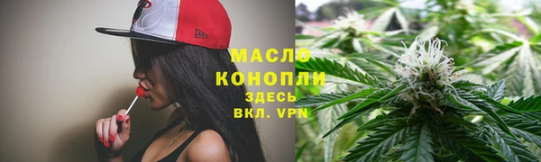 хмурый Аркадак