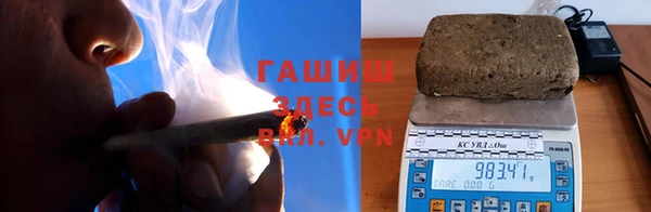 хмурый Аркадак