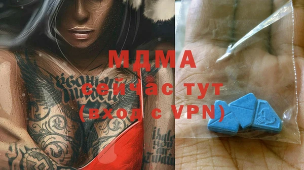 хмурый Аркадак