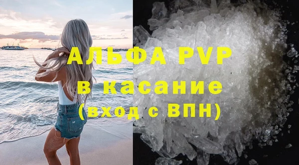 хмурый Аркадак