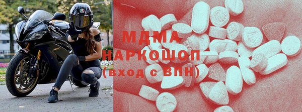 хмурый Аркадак