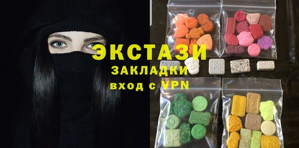 хмурый Аркадак