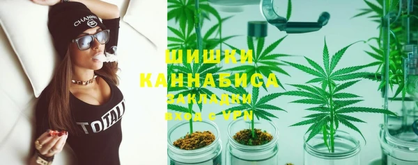 хмурый Аркадак