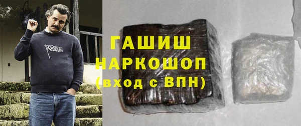 хмурый Аркадак