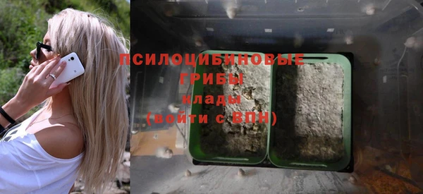 гашиш Арсеньев