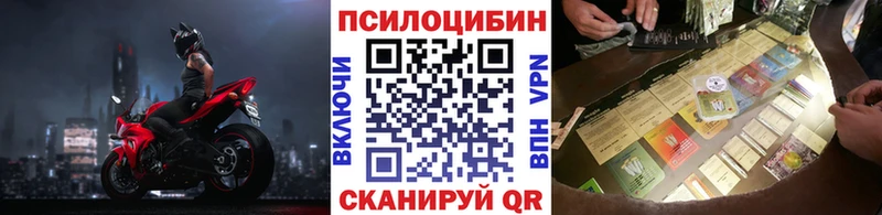 что такое   Калач-на-Дону  Галлюциногенные грибы мицелий 